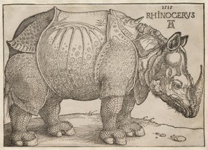  - Albrecht Dürer