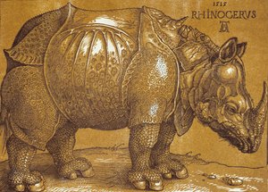 Le Rhinocéros