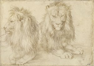 Deux lions assis - Albrecht Dürer