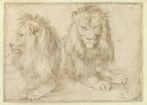  - Albrecht Dürer