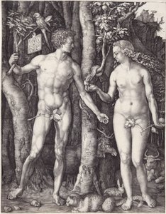 Adam et Ève, pub. 1504 (gravure)