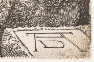  - Albrecht Dürer or Duerer
