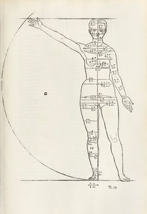 Gravure anatomique féminine de 