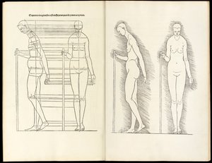 Femme avec bâton, gravure anatomique de Hierinn sind begriffen vier bücher von menschlicher Proportion, 1528 - Albrecht Dürer