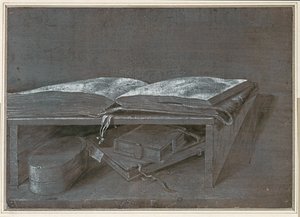 Livre ouvert (dessin au pinceau sur papier brun) - Albrecht Dürer or Duerer
