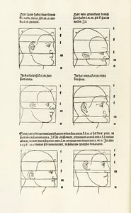 Proportions de la tête humaine de 