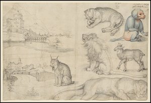 Croquis d