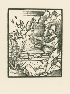 La parabole du semeur - Albrecht Dürer or Duerer