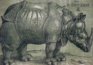 Le Rhinocéros, 1515