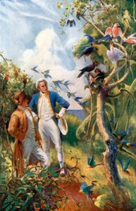 Capitaine Cook à Botany Bay (lithographie couleur) - Alec Ball