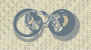 Résumé : Feline Infinity - Alejandra Winkhaus