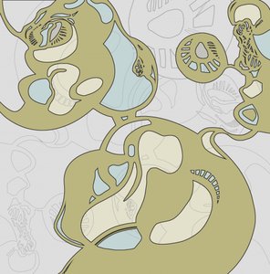 Formes organiques fluides - Alejandra Winkhaus