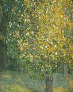 Châtaignier en fleurs