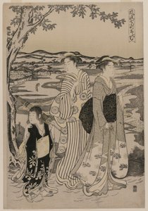Omu le perroquet (de la série Sept épisodes élégants de la vie de la poétesse Ono no Komachi) - Alessandro Magnasco
