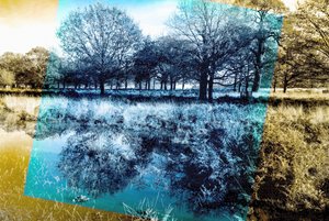 Note bleue