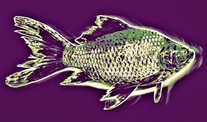 Poisson