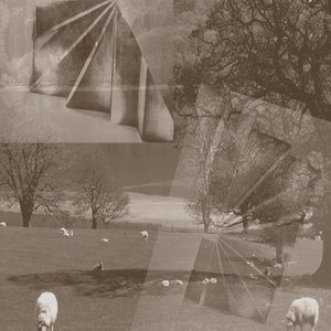 mouton - Alex Caminker