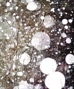Neige