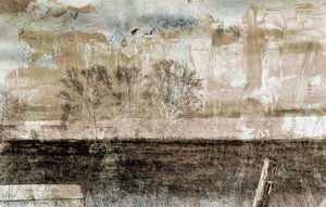 Brouillard brun - Alex Caminker