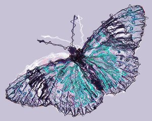 Papillon 7, 2020 - Alex Caminker
