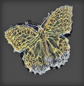 Papillon 9, 2020