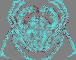 Crabe, 2020 - Alex Caminker