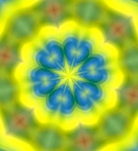 fleurs #62 - Alex Caminker