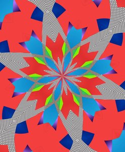 fleurs #116 - Alex Caminker