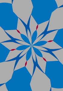 fleurs #12 - Alex Caminker