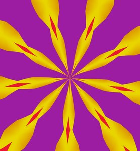 fleurs #7 - Alex Caminker
