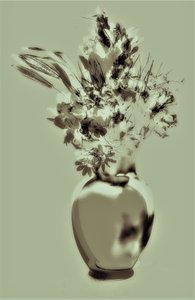 Nature morte verte - Alex Caminker