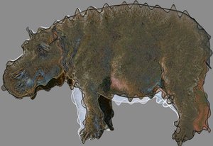 Hippopotame, 2020 - Alex Caminker