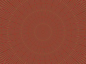 ornement #2, 2019 - Alex Caminker