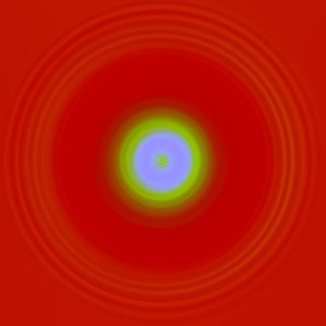 petite notation, 2019