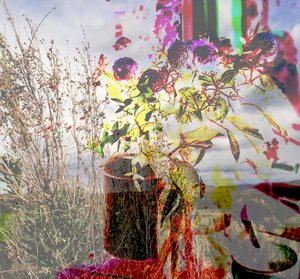 nature morte, 2019 - Alex Caminker