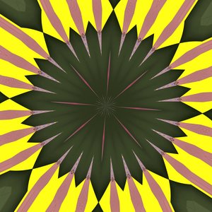 Tournesol, 2019 - Alex Caminker