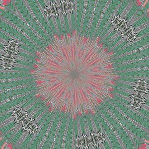 symétrie #31 - Alex Caminker