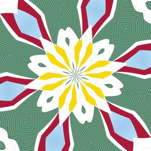 nénuphar, 2019 - Alex Caminker