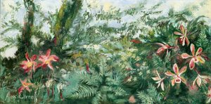 Orchidées tropicales aux couleurs vives