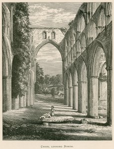 Abbaye de Rievaulx, chœur, vue vers le nord