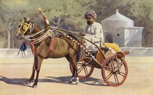 Un Ekka de Bénarès