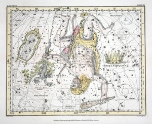 Les Constellations (Planche VIII) Couronne Boréale, Hercule et Cerbère, Lyre, de 