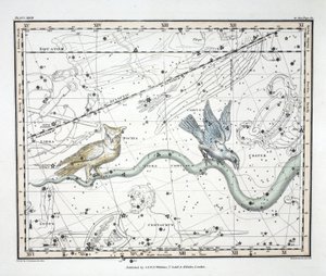 Les Constellations (Planche XXVII) Hydra Continua, Crater, Covus, Centaurus et Lupus, de 