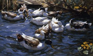 Canards dans les roseaux sous les branches