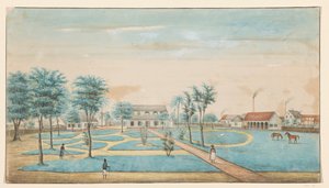 Vue de la plantation de sucre Catharina Sophia
