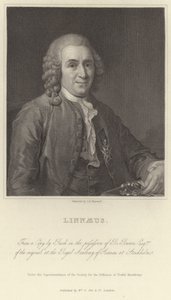 Linné