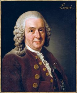 Portrait de Carl von Linné