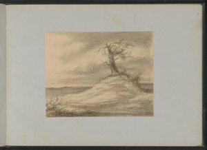 Arbre sur une colline