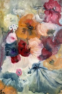 Des coquelicots colorés s