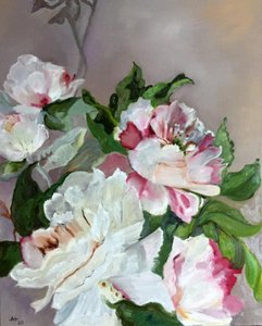 Pivoines roses et blanches - Alexandra Higgins
